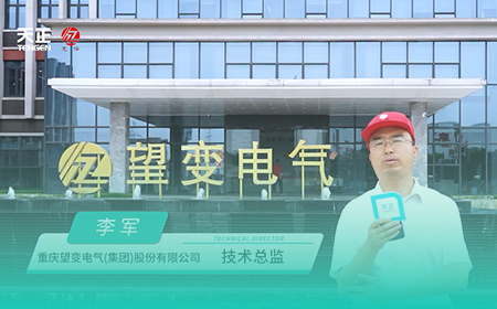 凯发k8x望变电气